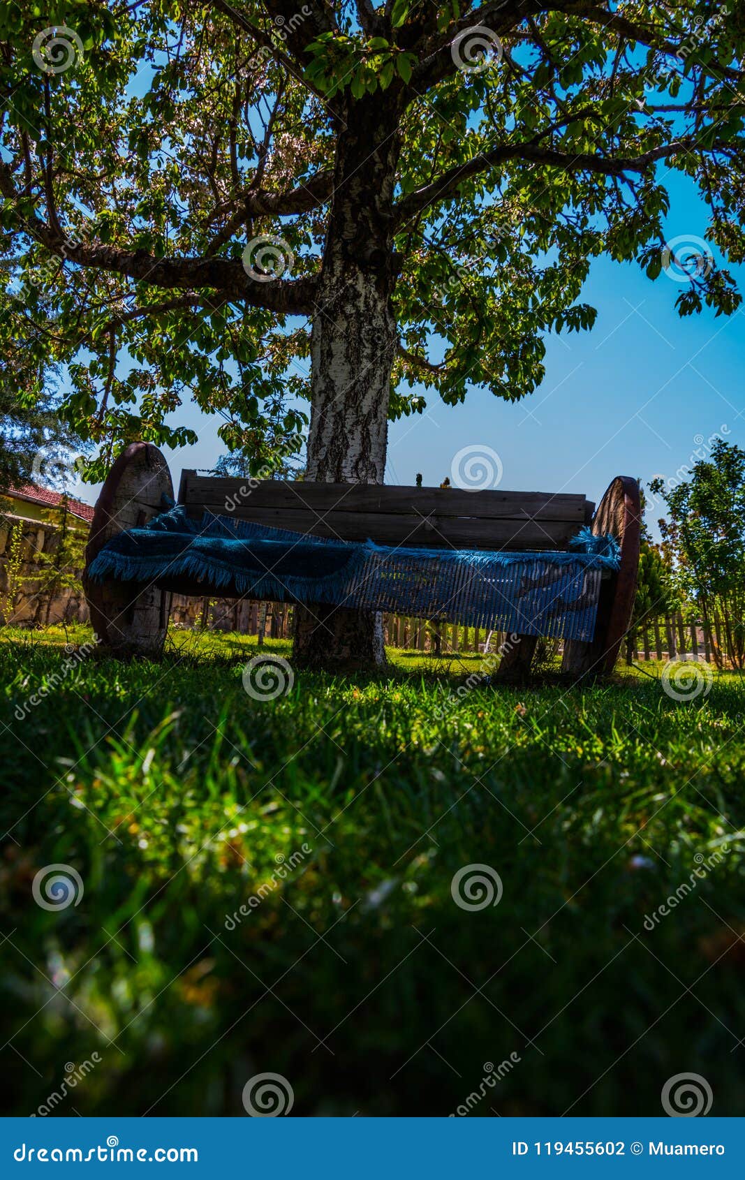 The Wooden Bench Under the Tree Stock Photo Image of bench, landscape