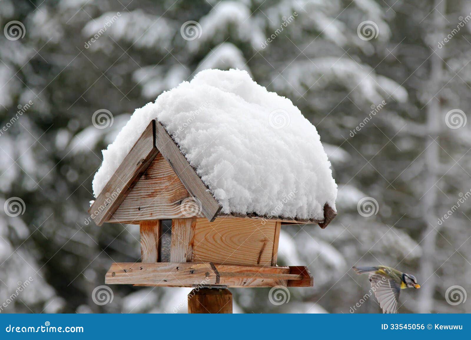 bird with sunflower seed flying from a wooden bird feeder with snow 