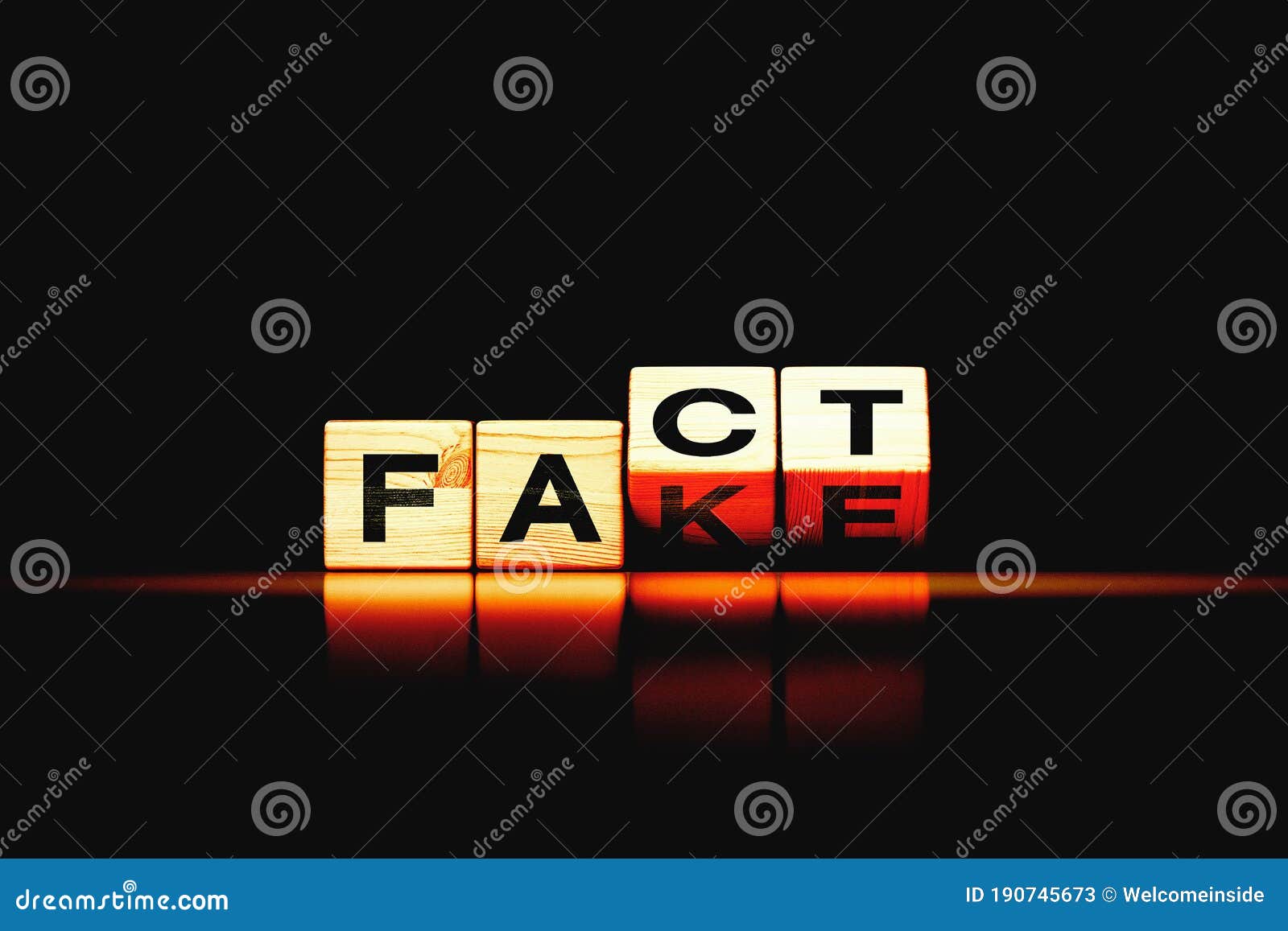 Wooden Blocks with Letters Forming Words `Fact` and `Fake` Stock ...