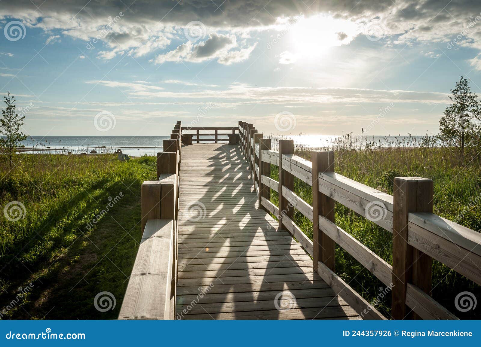 a wooden boardwalk beach access leads through meadow to an observation deck and baltic beach.