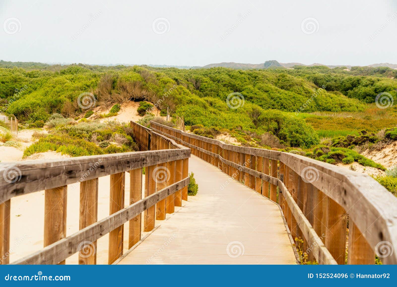 wooden boardwalk through the dunes. oso flaco lake natural area, oceano, california