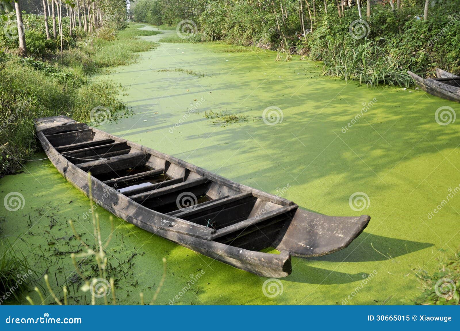 Wooden boat on the water ancient asia autumn beautiful boat china color colorful connection craft dingy drift environment era fall floating grass green