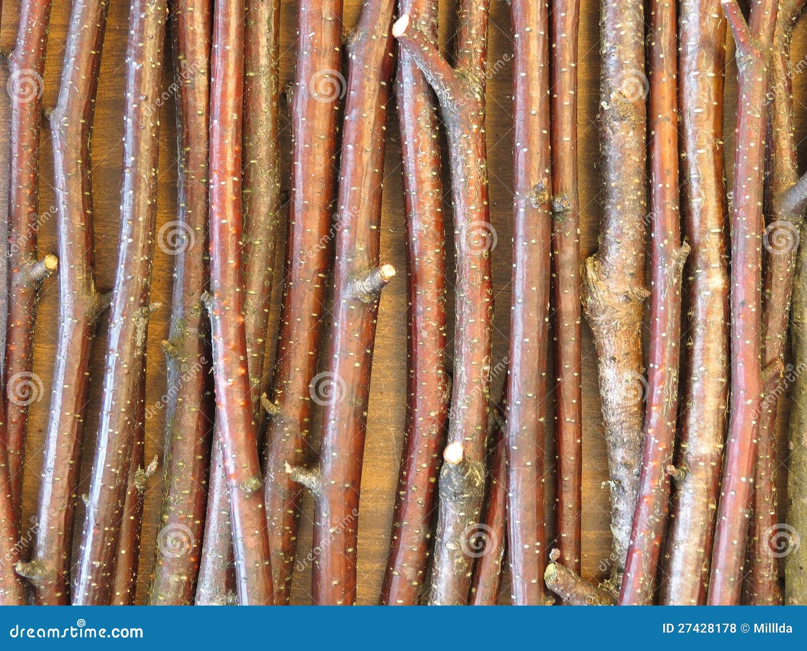 Wooden branches pattern stock photo. Image of pattern 27428178