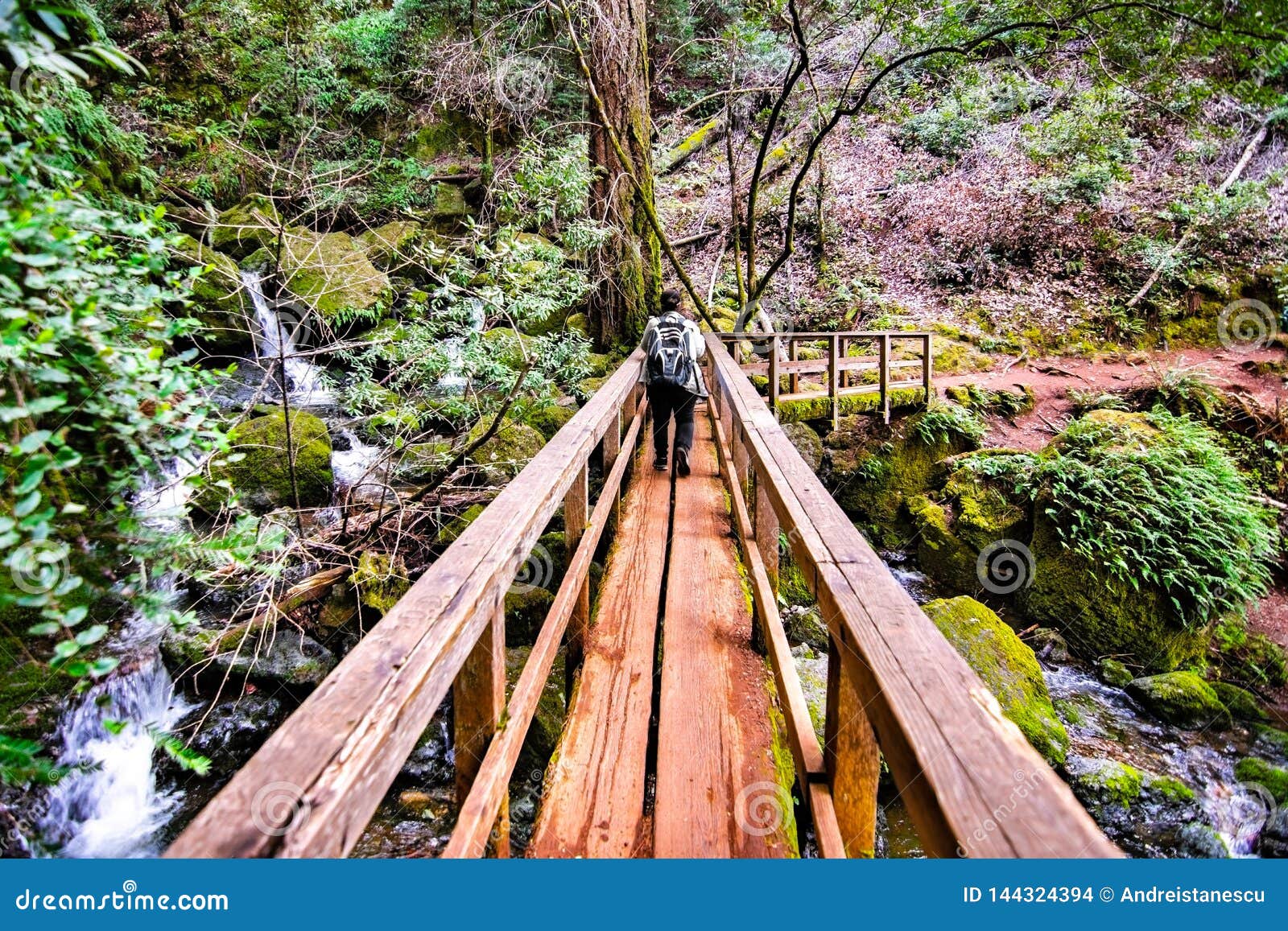 wooden bridge on cataract trail in mt tamalpais watershed, marin county, north san francisco bay area, california