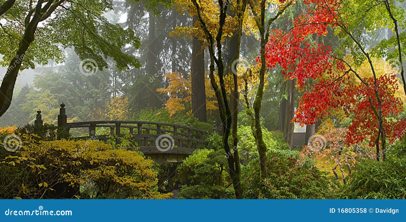 wooden bridge at japanese garden in autumn