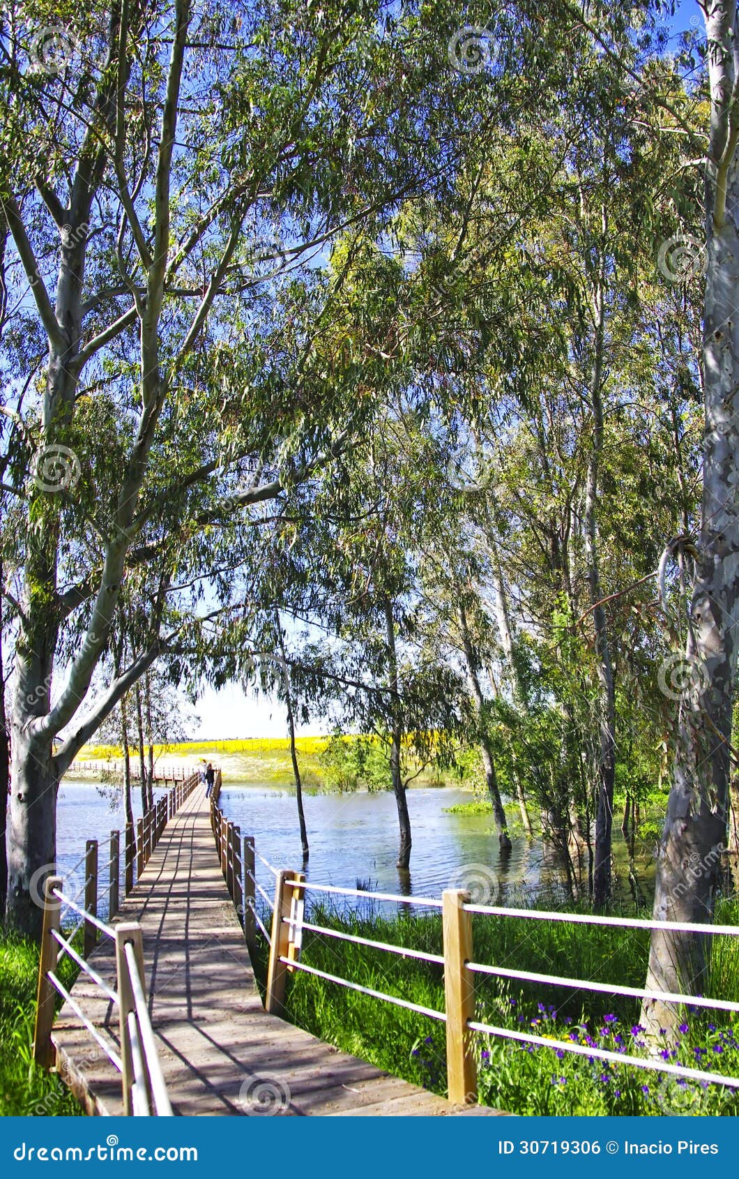 wooden bridge into the lake of alqueva , portugal