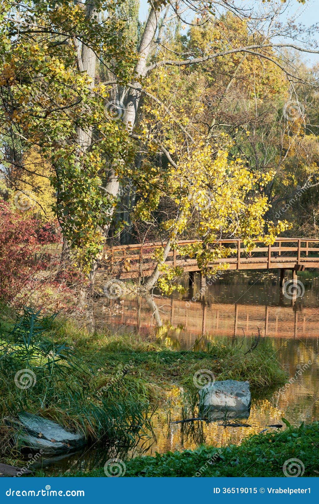 Wooden Bridge and Lake in Autumn Nature Stock Image - Image of fall ...