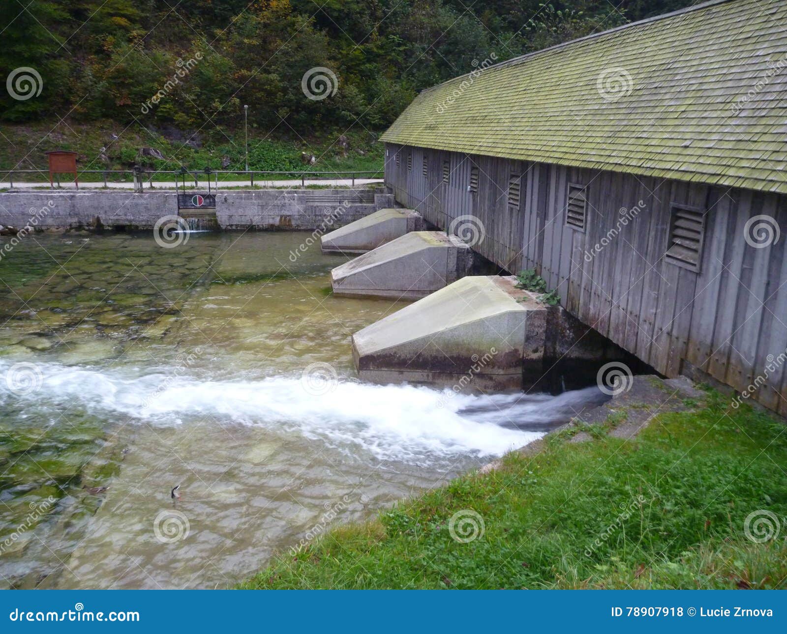 Wooden Bridge at the Outlet of Konigsee Stock Photo Image of lookout