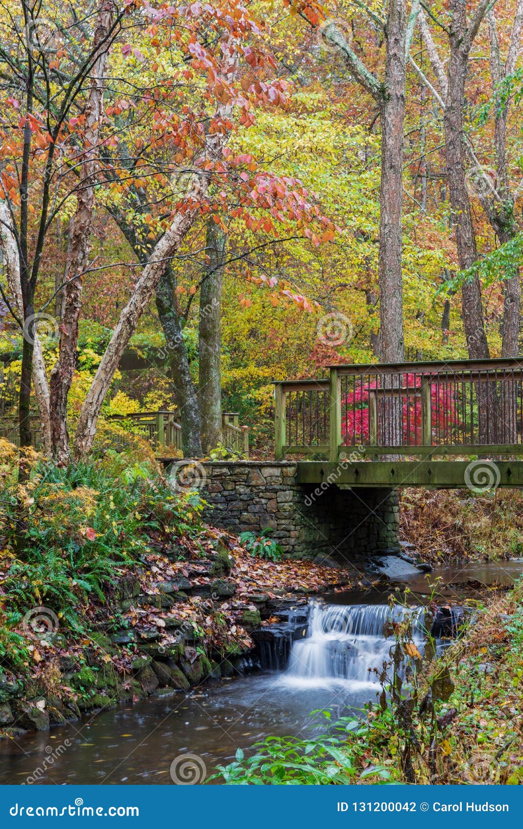 Wooden Bridge Over a Creek with Colorful Fall Foliage at Gibbs Gardens ...