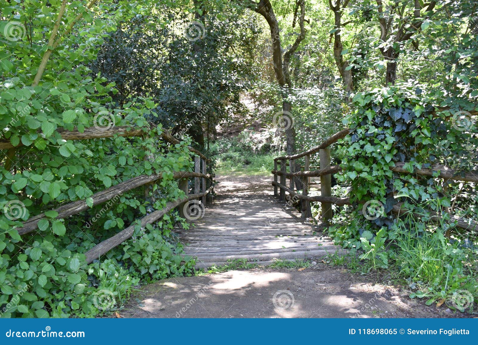 a wooden bridge over a mountain stream