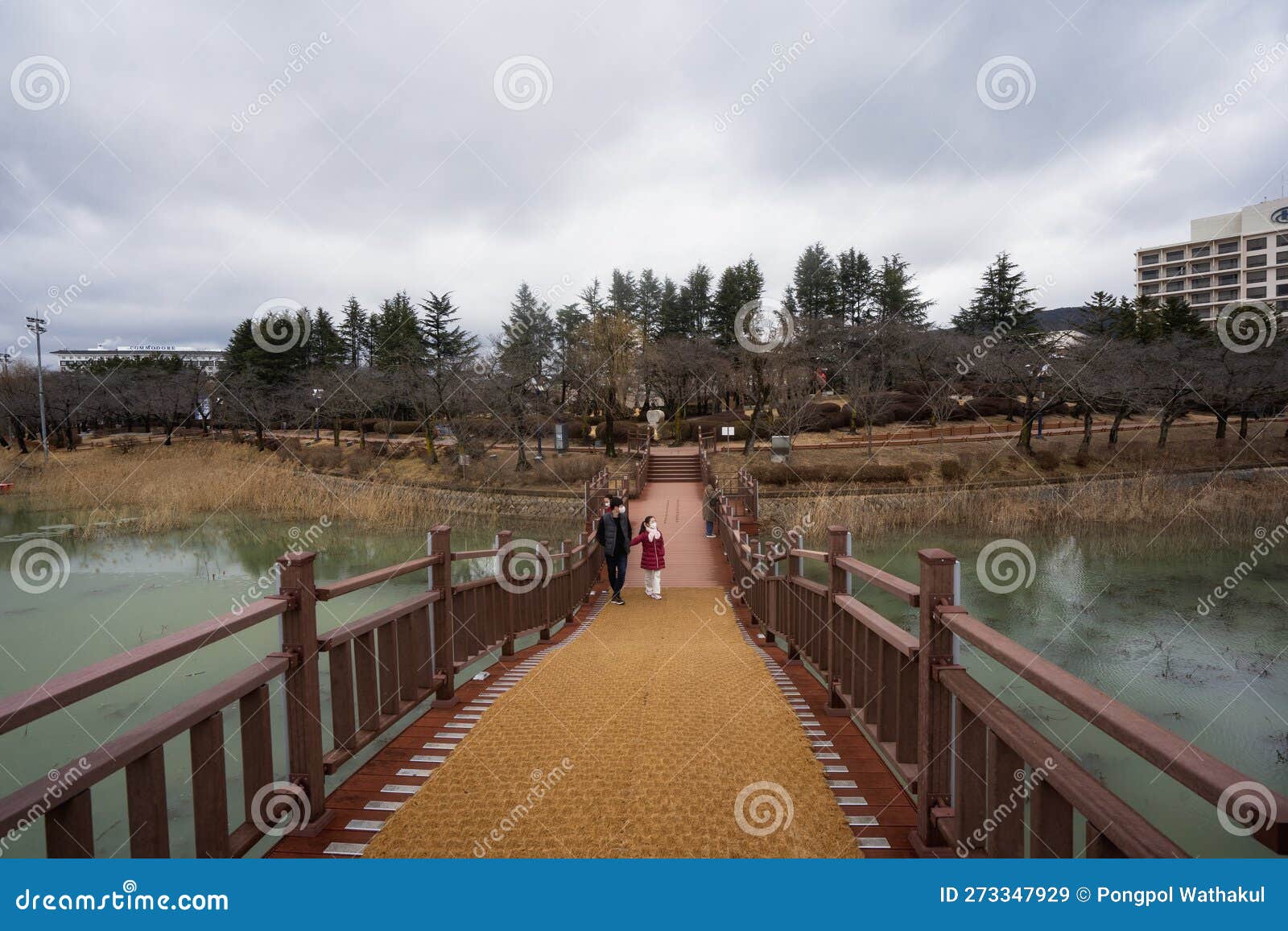 Wooden Bridge and View of Nature Around Bomun Lake during Winter