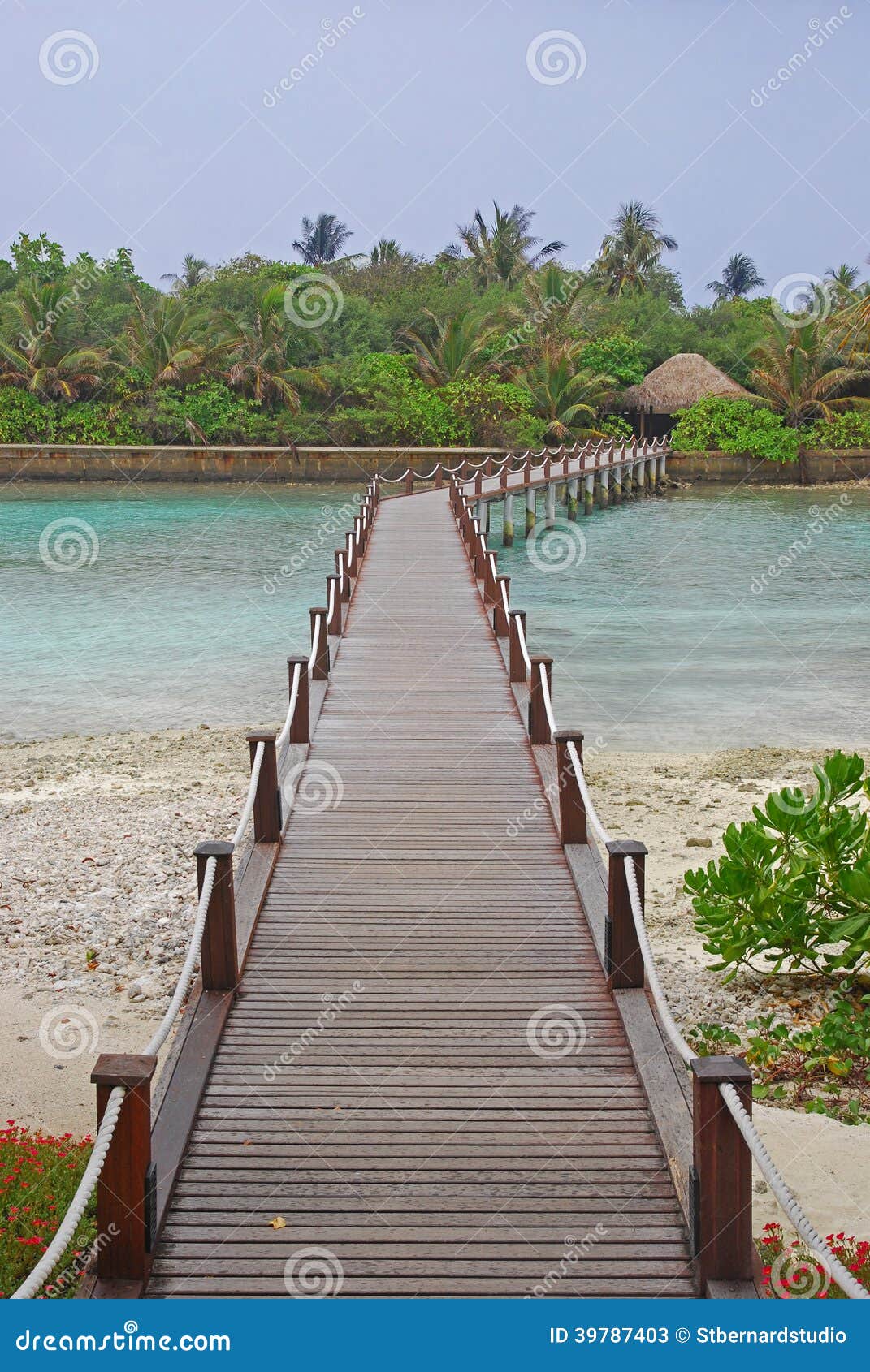 wooden bridge walkway to a greener world