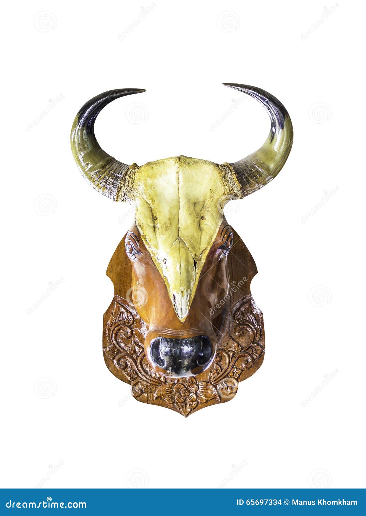Wooden Bull Head Statue Isolated Stock Photo Image of horns, taurus
