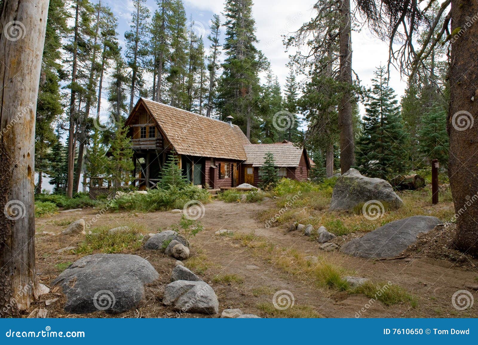 wooden cabin in scenic forest