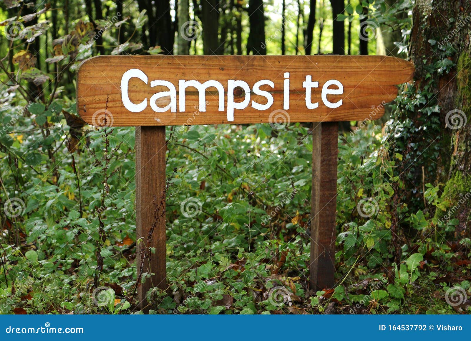 Wooden Campsite Sign stock photo. Image of camping, sign - 164537792