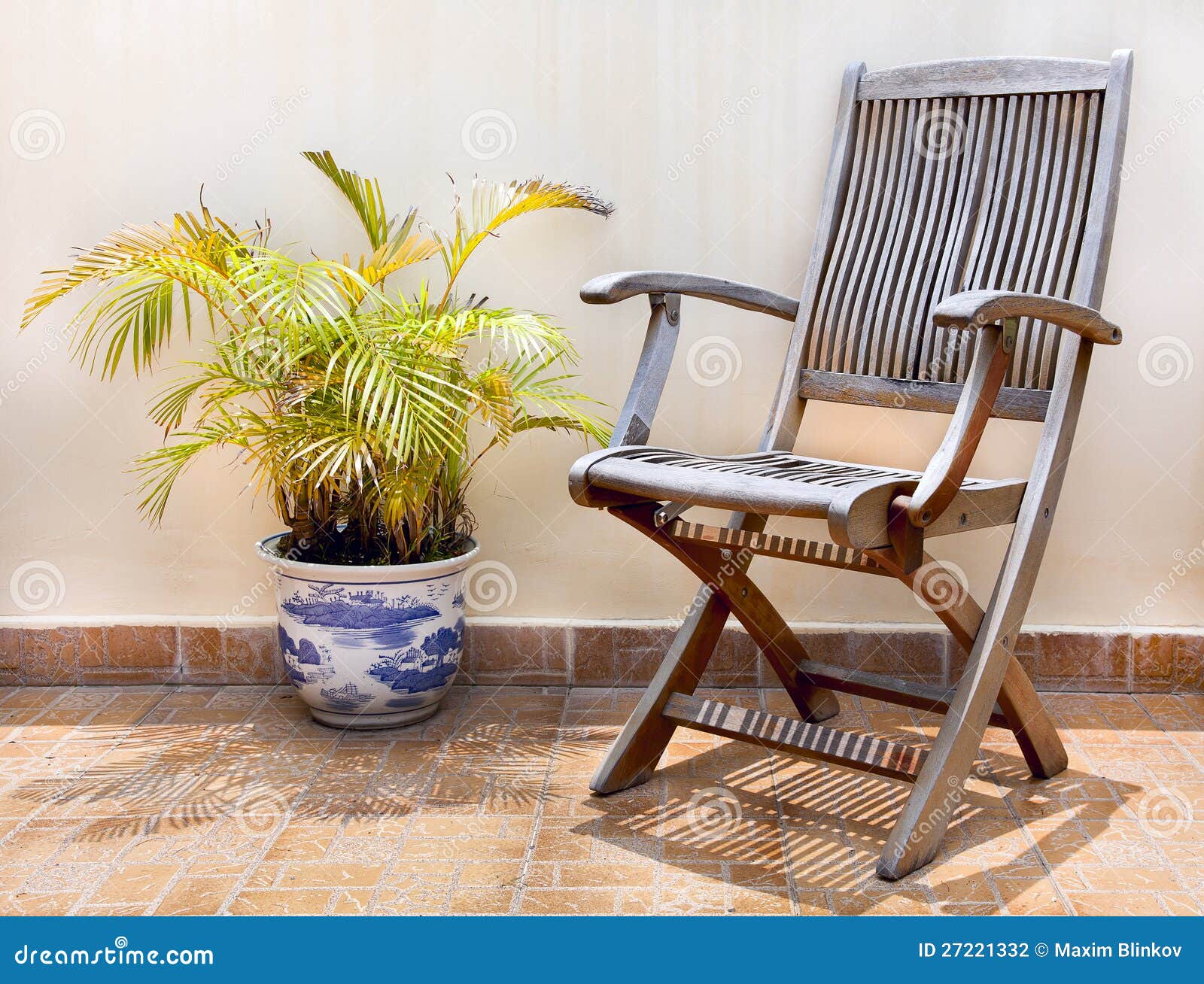 Wooden Chair and Palm Tree in Pot Stock Photo Image of minimalism