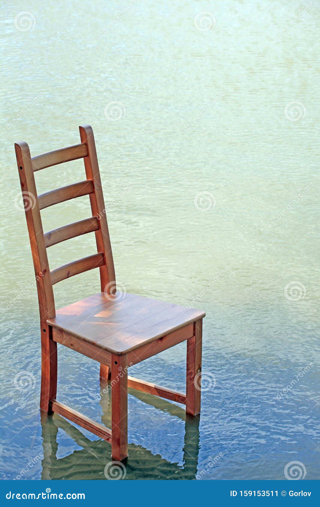 20 Chair Pictures  Download Free Images on Unsplash