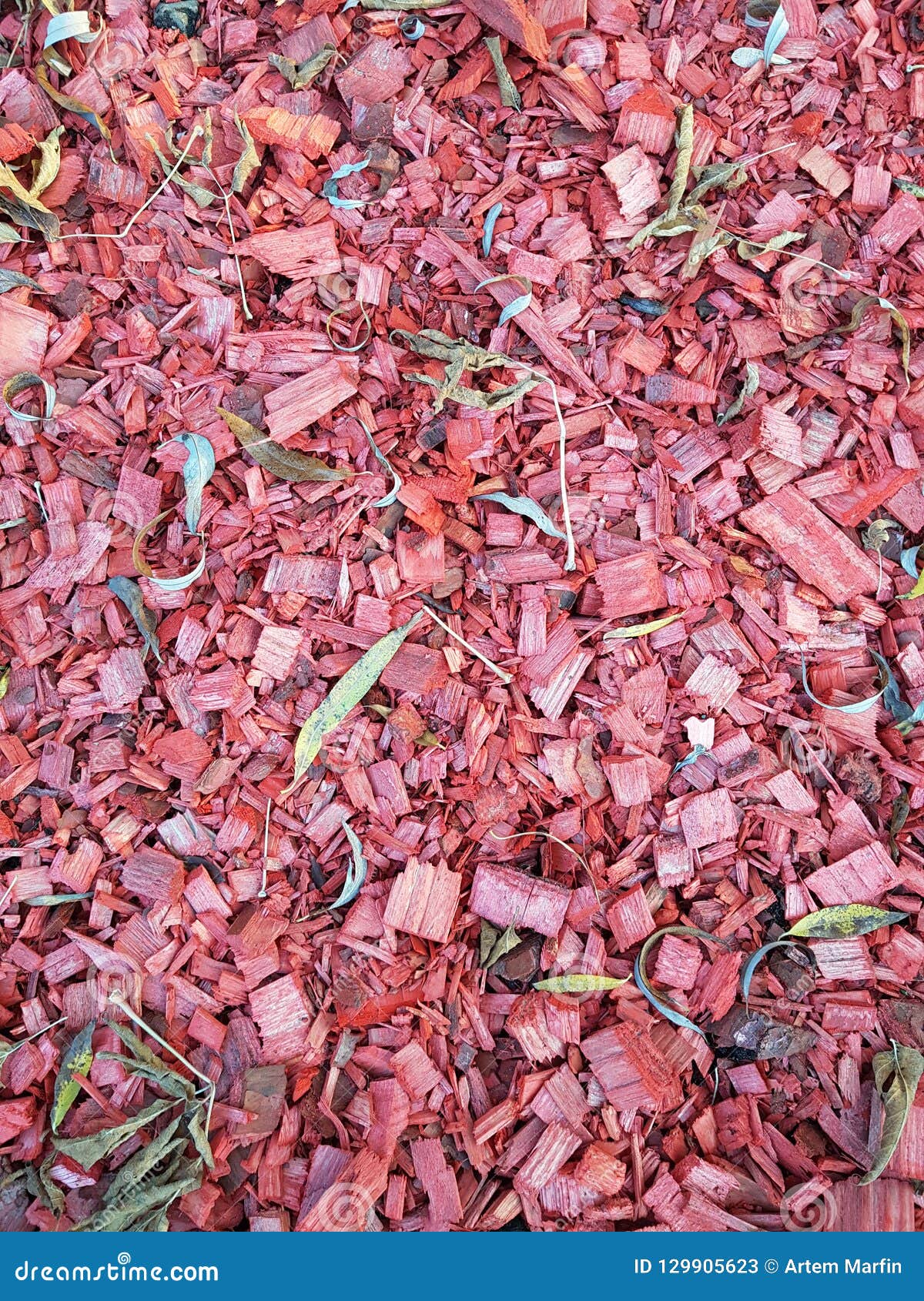 Red slivers stock image. Image of wooden, chips, garden 129905623