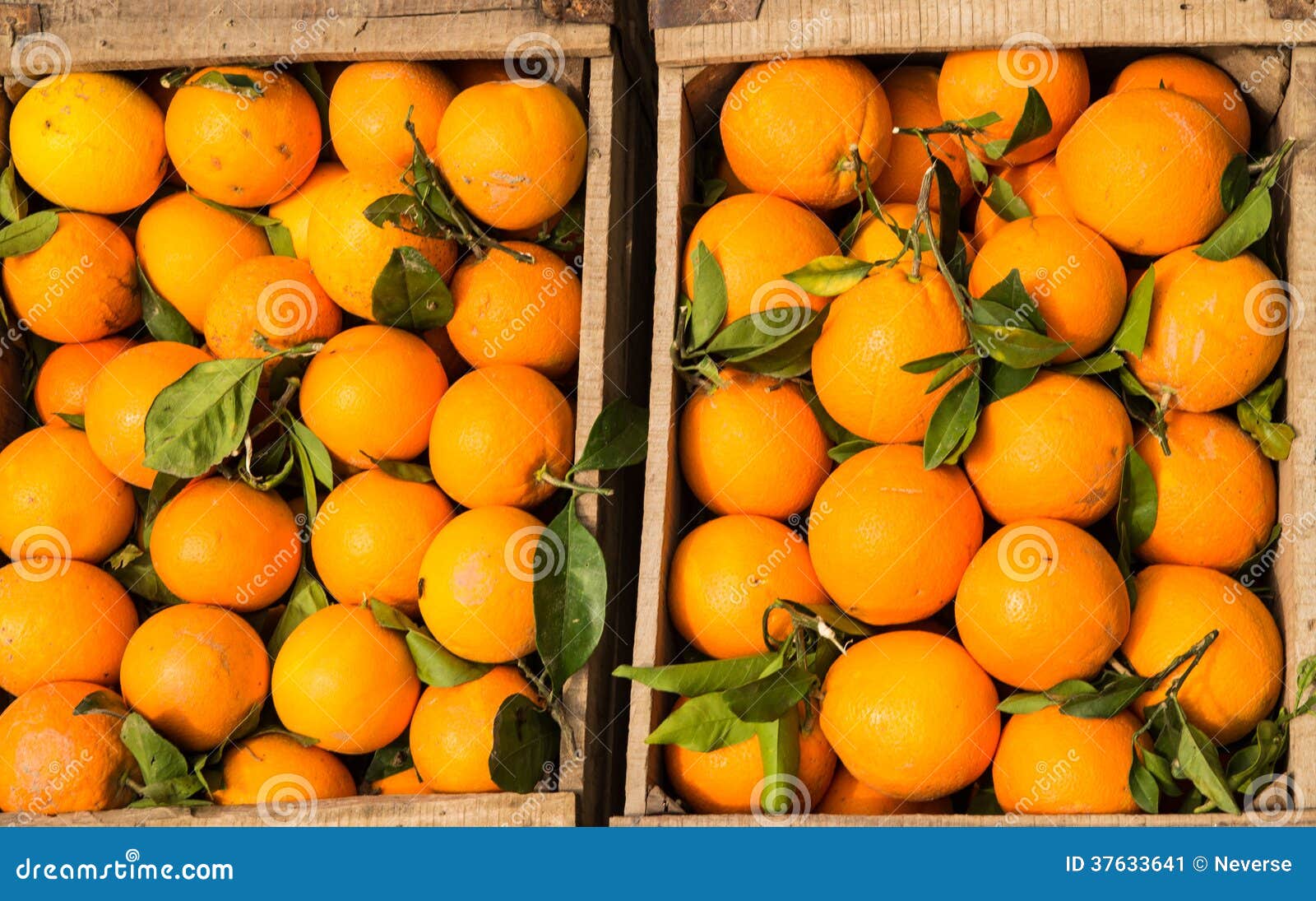 Wooden Crate Full of Oranges Stock Image Image of juice, fruit 37633641