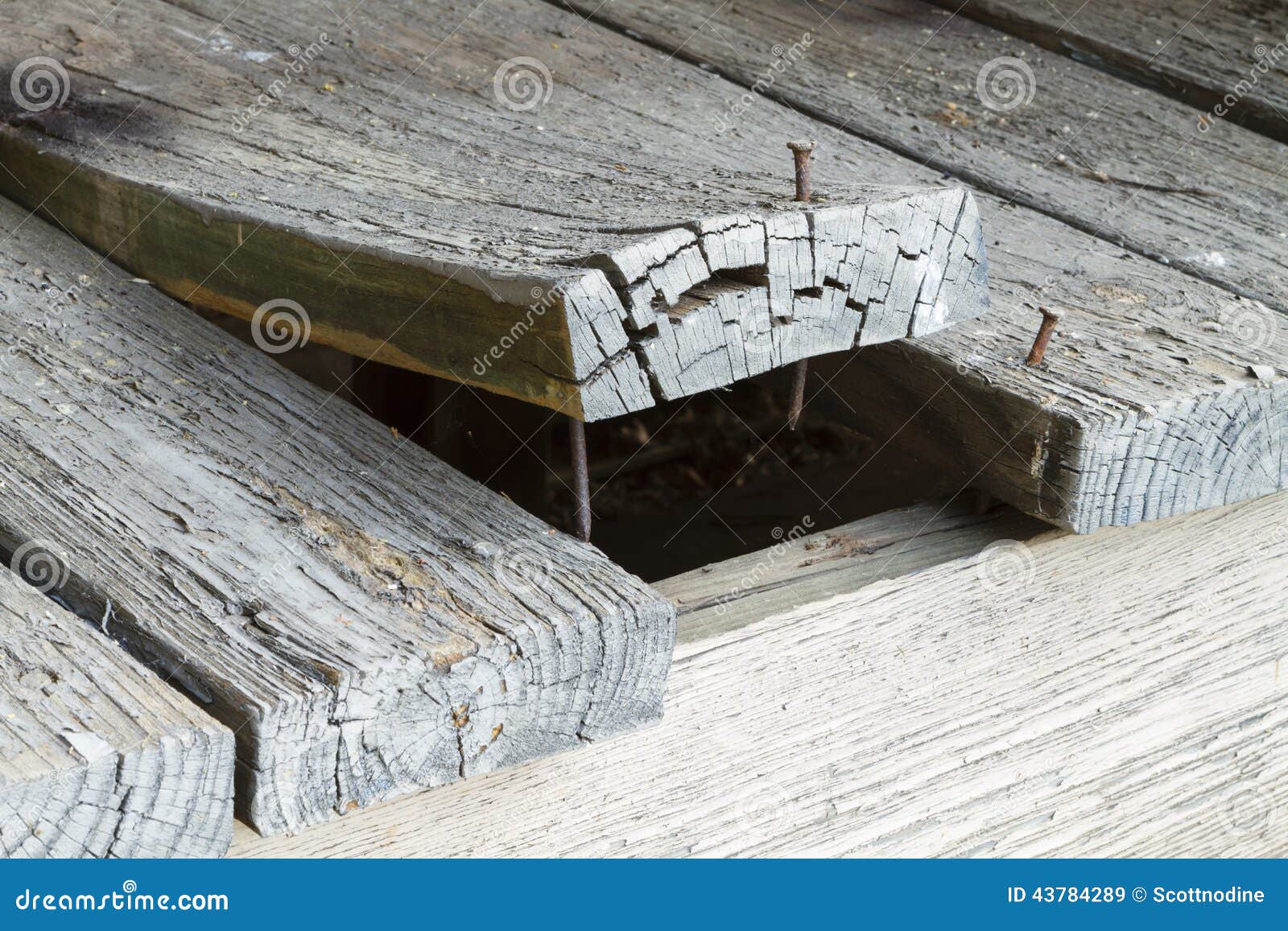 wooden deck plank warped and curling up