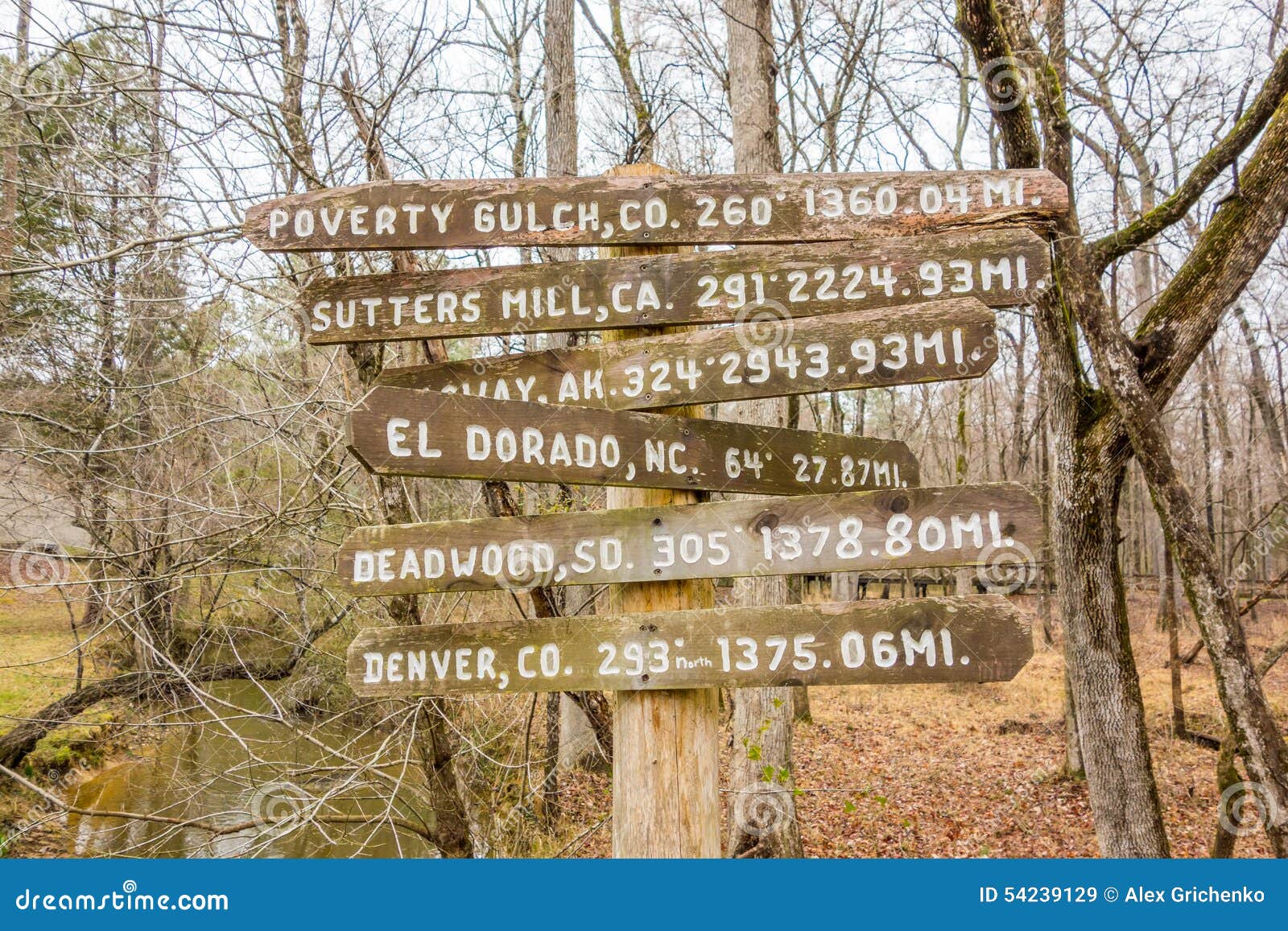 Wooden Direction Sign in the Forest Stock Image Image of carolina