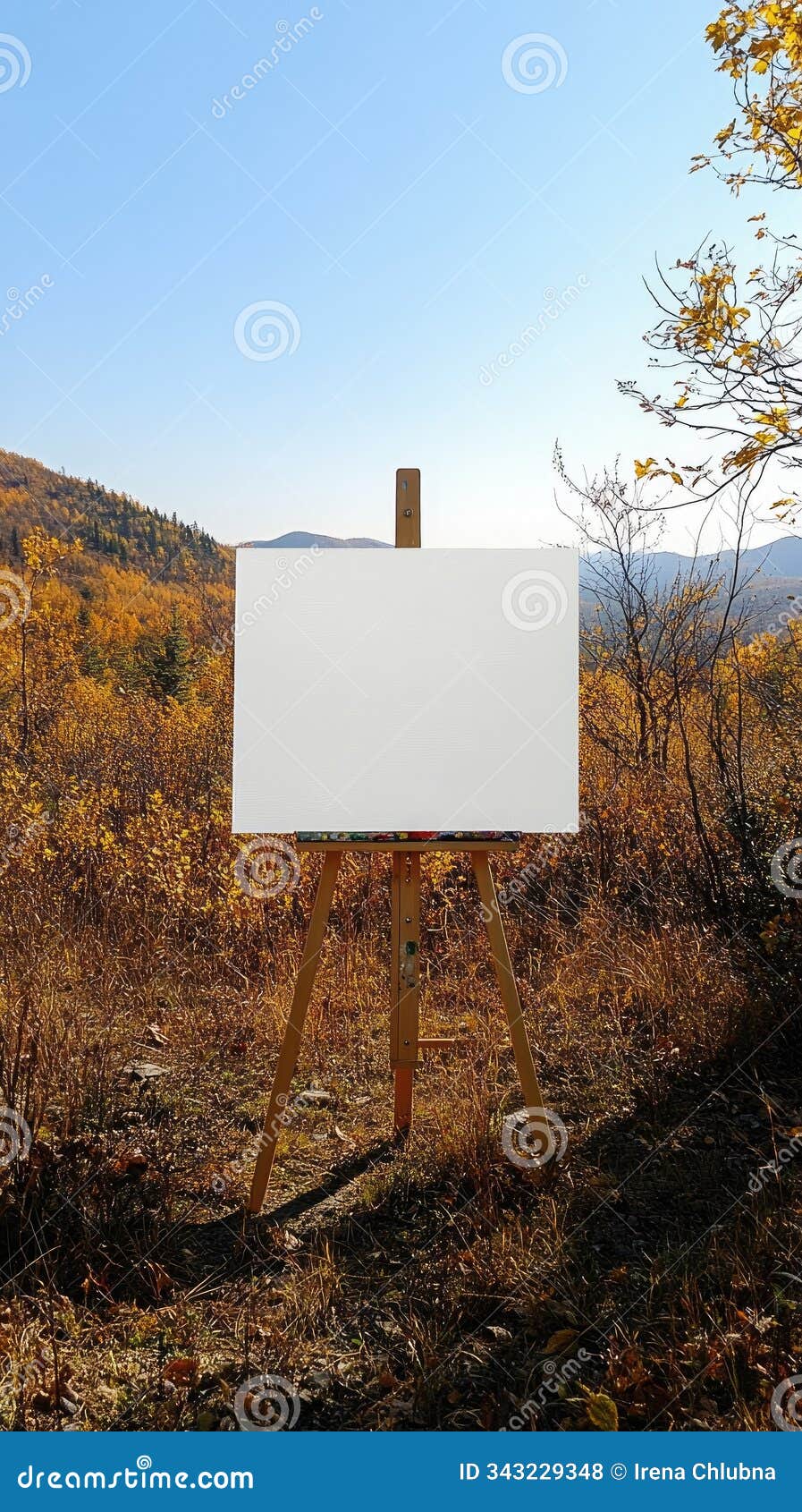 blank canvas on wooden easel in beautiful autumn landscape inspiring creativity