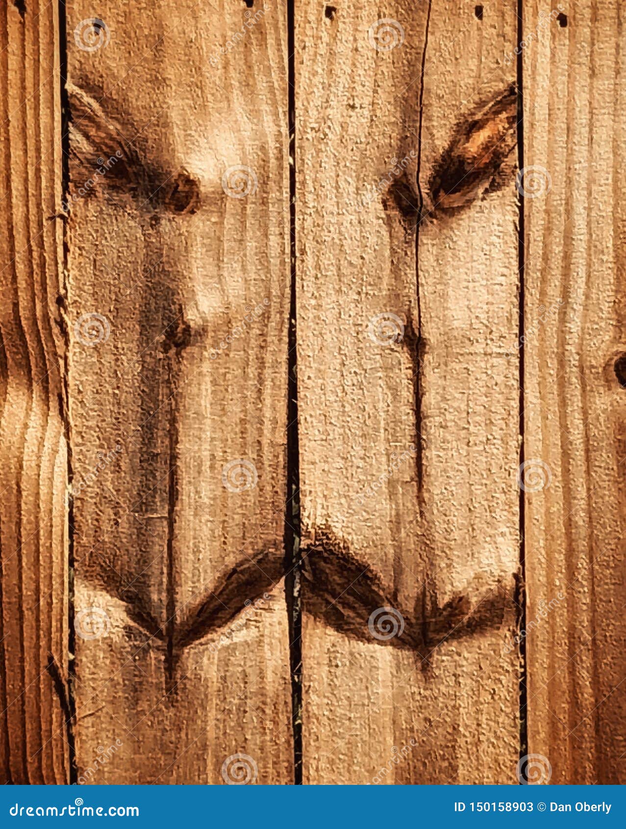 Wooden Log With Knots Stock Image 193257379