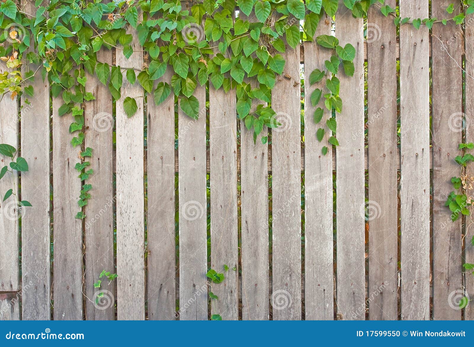 Wooden fence stock photo. Image of grunge, material, brown 17599550