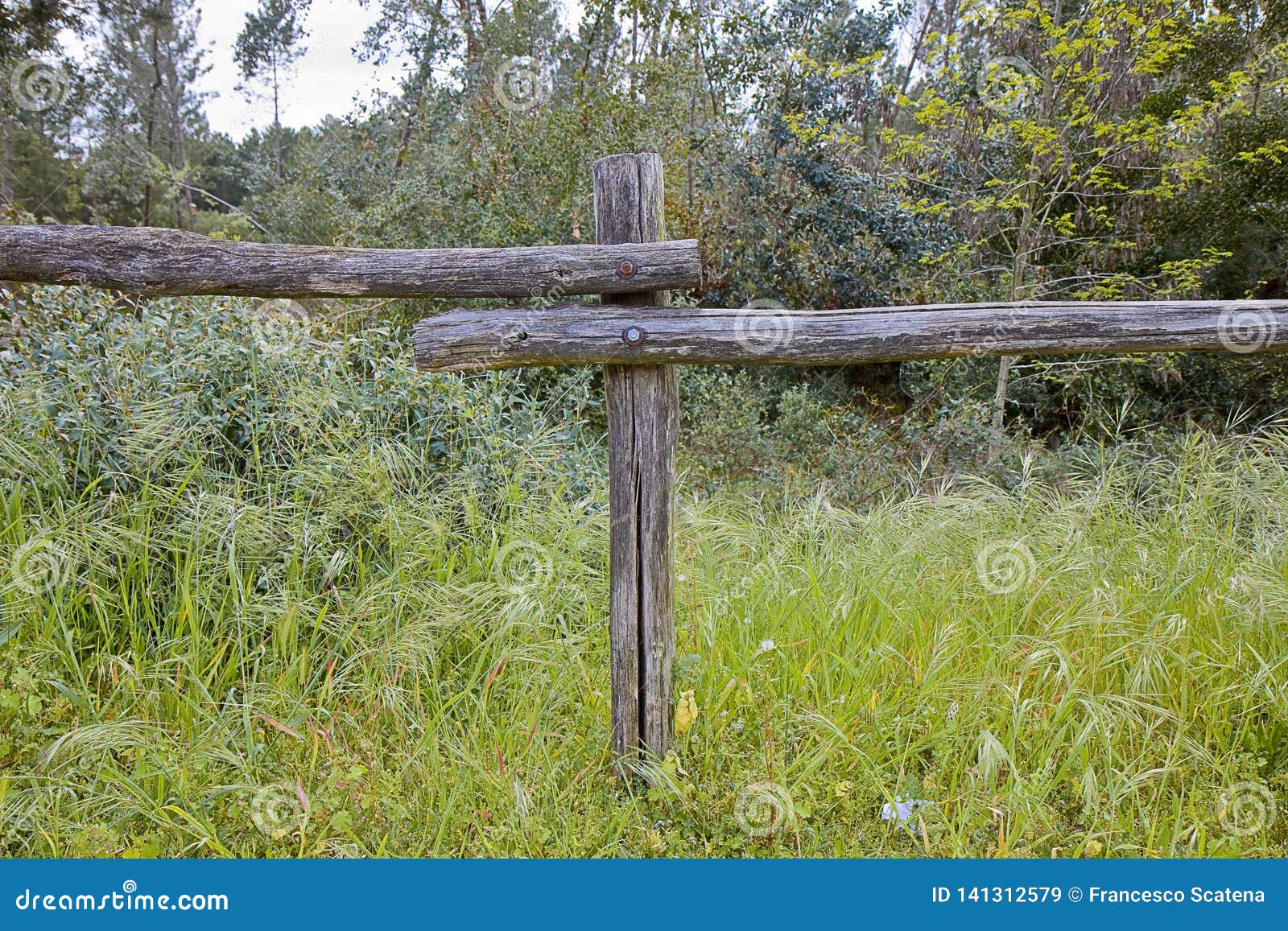 wooden fence on grass area