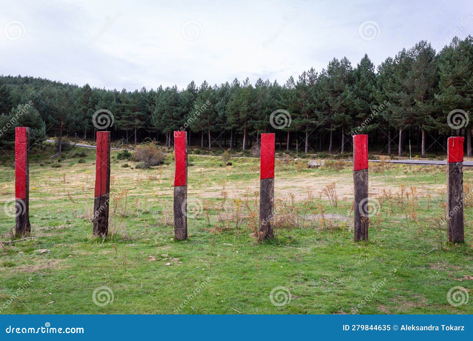 wooden fence piles with red markings against cattle, spain.