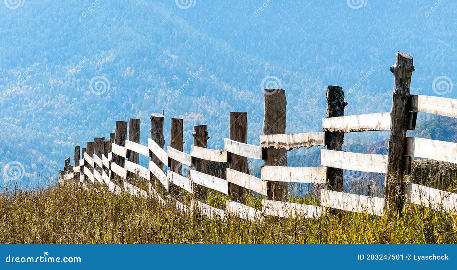 Wooden Fence on the Ranch. a Wooden Fence for Cattle Stock Image