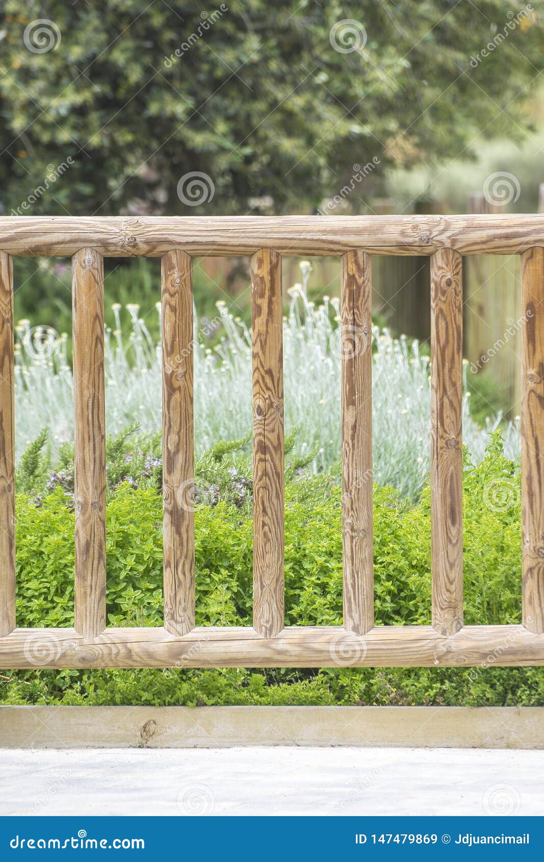 Wooden Fence and Some Flowers in a Home Garden. Floral Background and Empty  Copy Space Stock Image - Image of blank, copy: 147479869