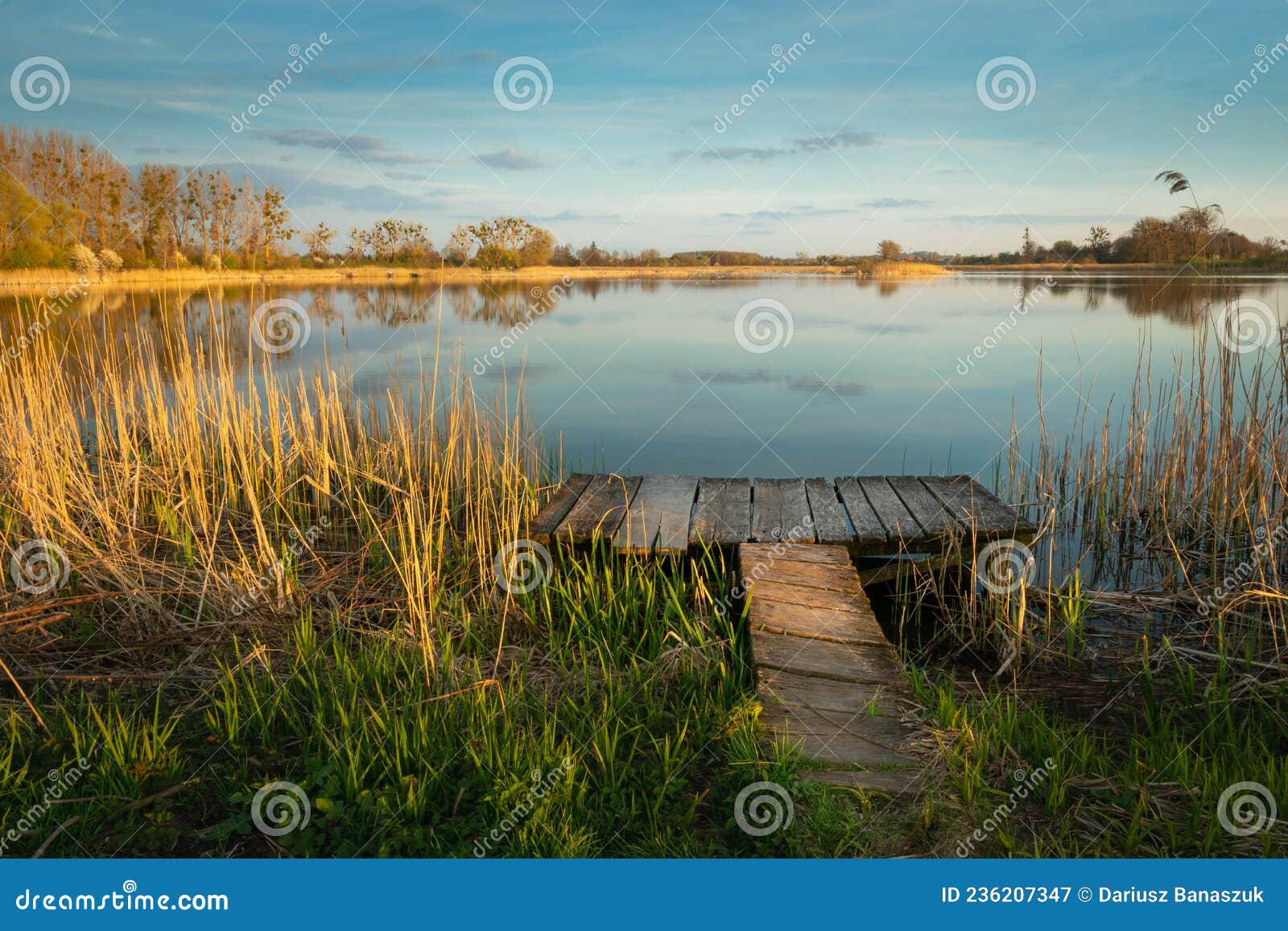 Wooden Fishing Platform in the Reeds of the Lake Stock Image - Image of  cloud, cane: 236207347