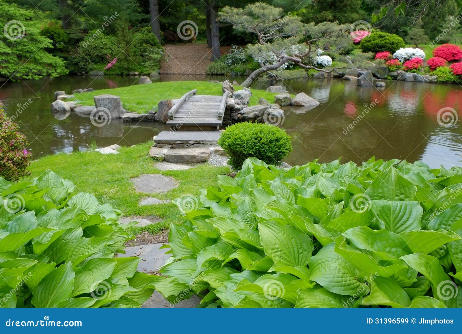 wooden foot bridge old japanese gardens over koi pond 31396599
