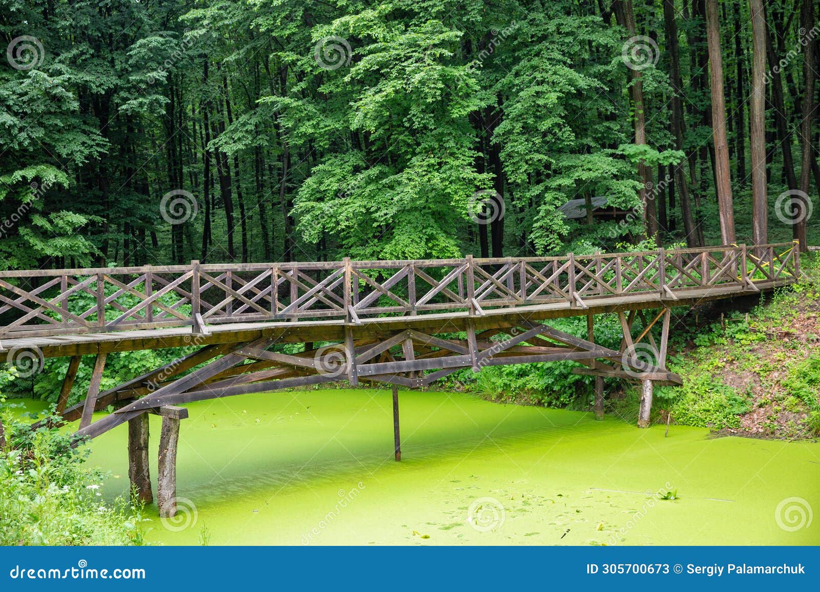 wooden foot bridge over pond in halych ethnography museum, ukraine
