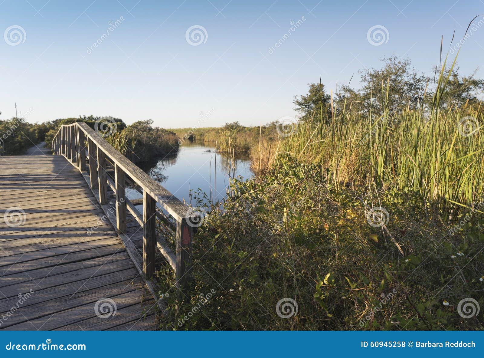 Wooden Footbridge Path At Fort Pickens Stock Photo - Image 