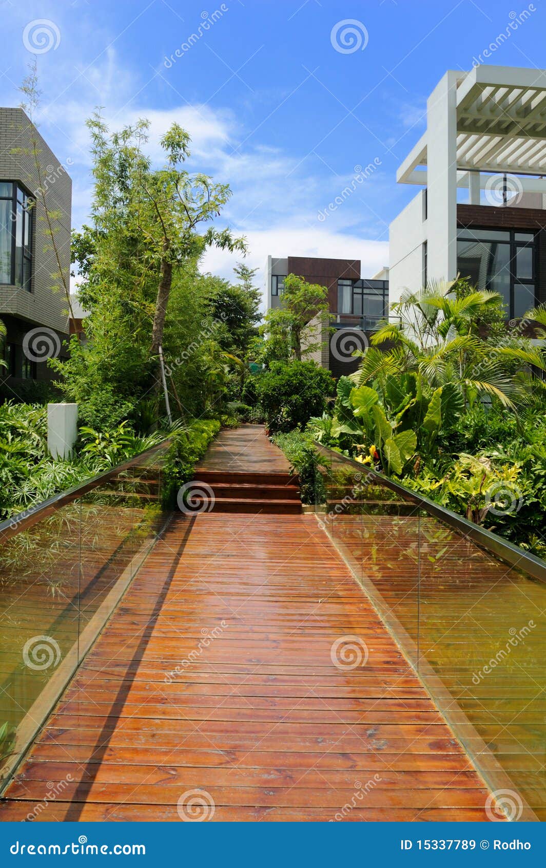 wooden footpath through a tranquil garden