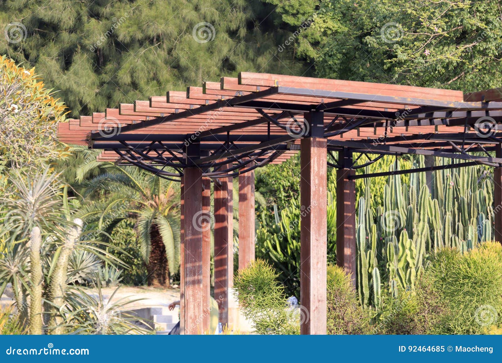 Wooden Frame Of Vine Stock Image Image Of Garden Environmental