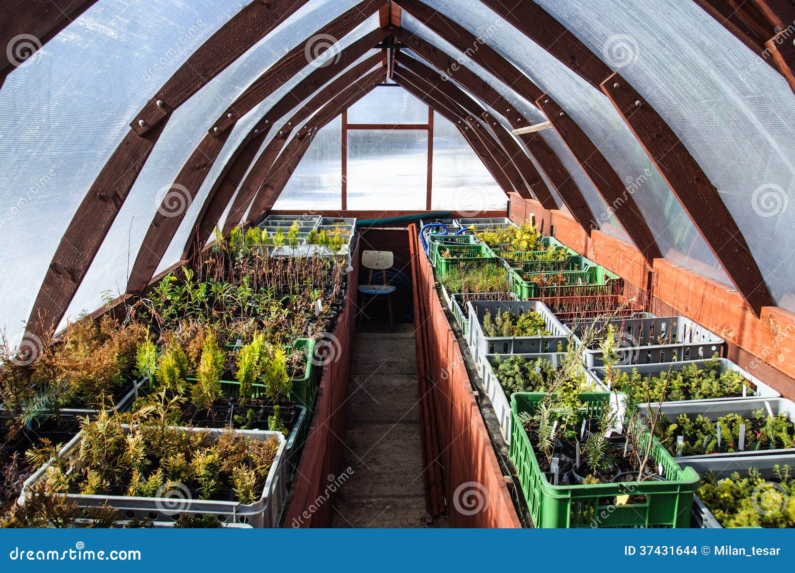 Wooden greenhouse stock photo. Image of cultivation, construction