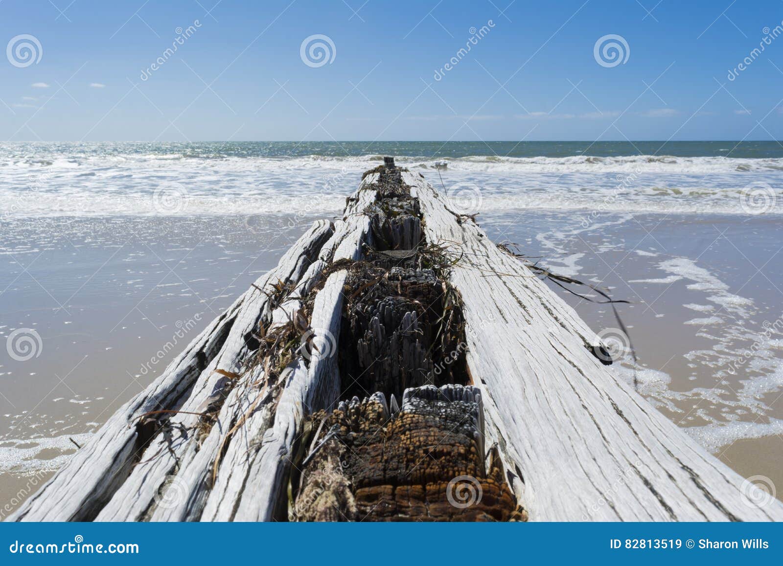 wooden groyne, victor harbor, fleurieu peninsula, south australia