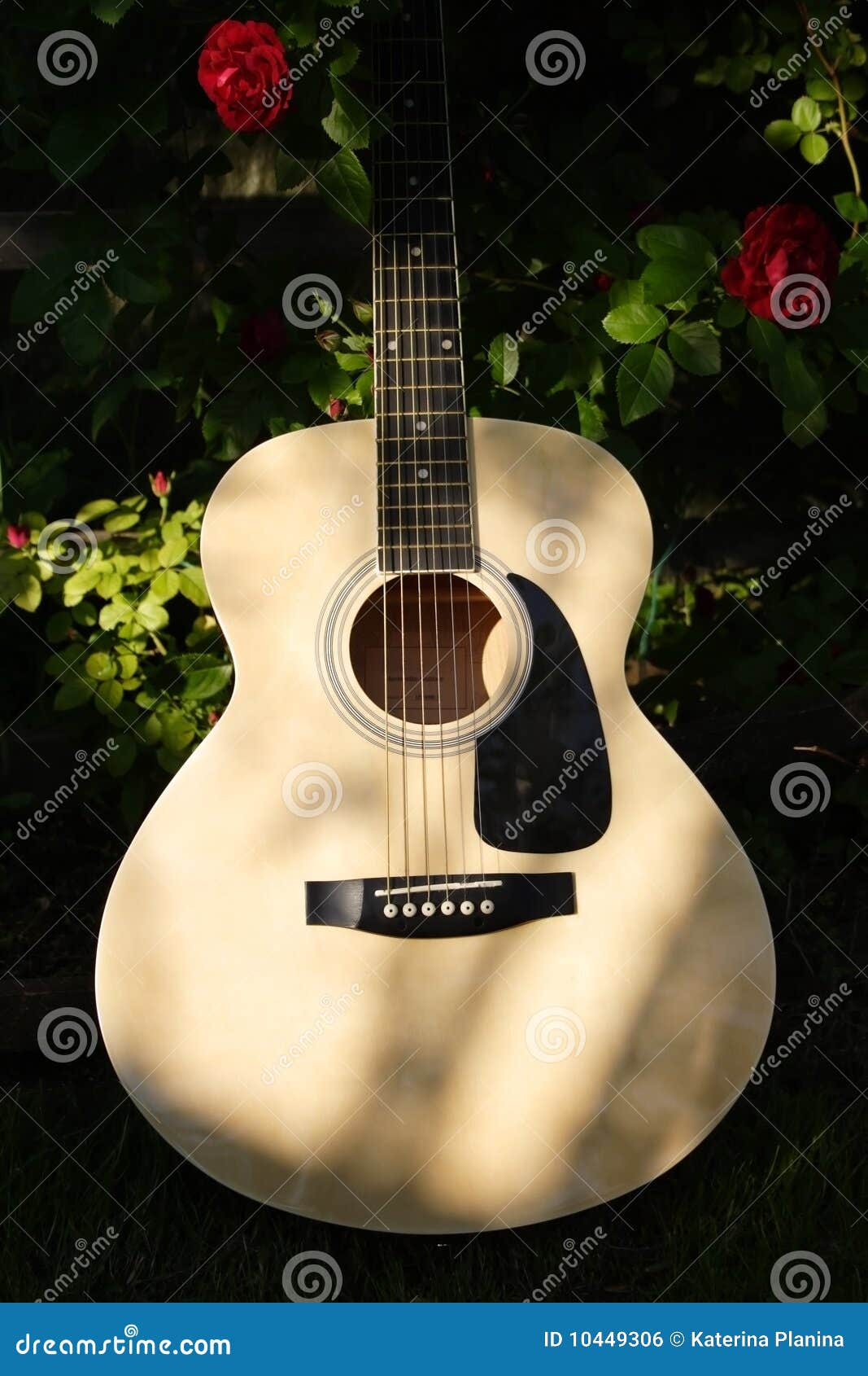 Wooden guitar stock photo. Image of music, acoustic, strings 10449306