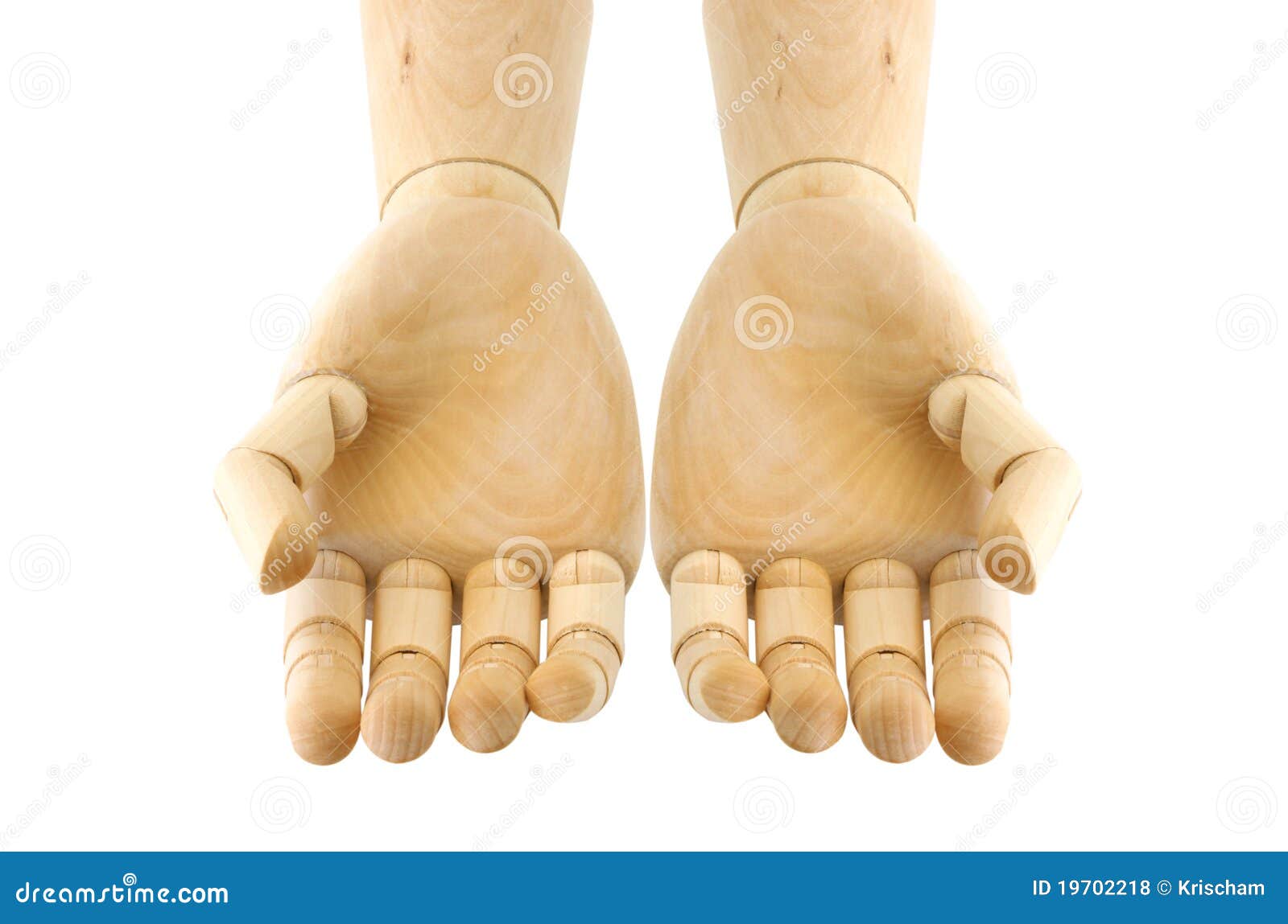 Wooden hands stock photo. Image of hold, healthy, male 19702218