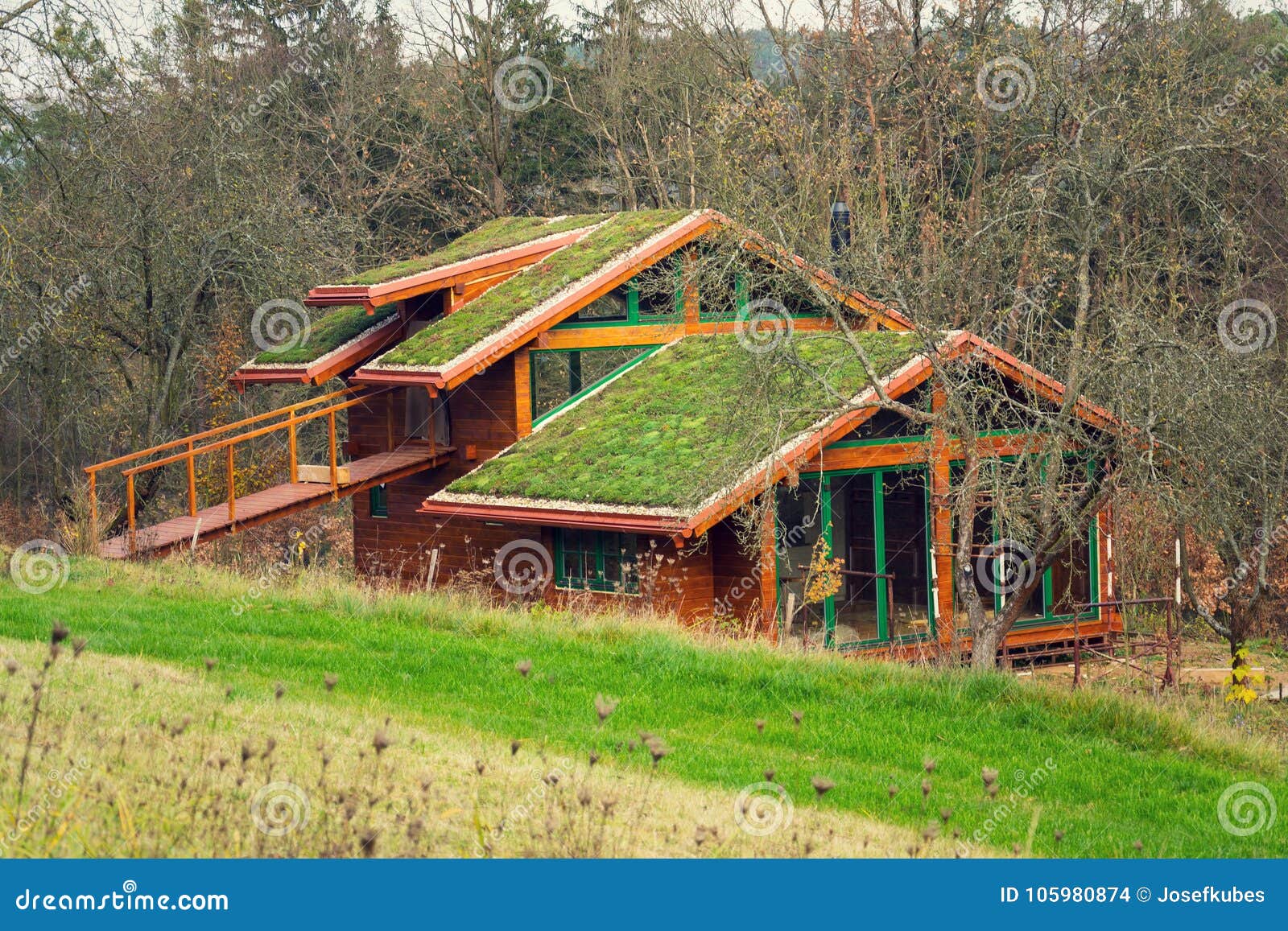 wooden house with extensive green living roof covered with vegetation