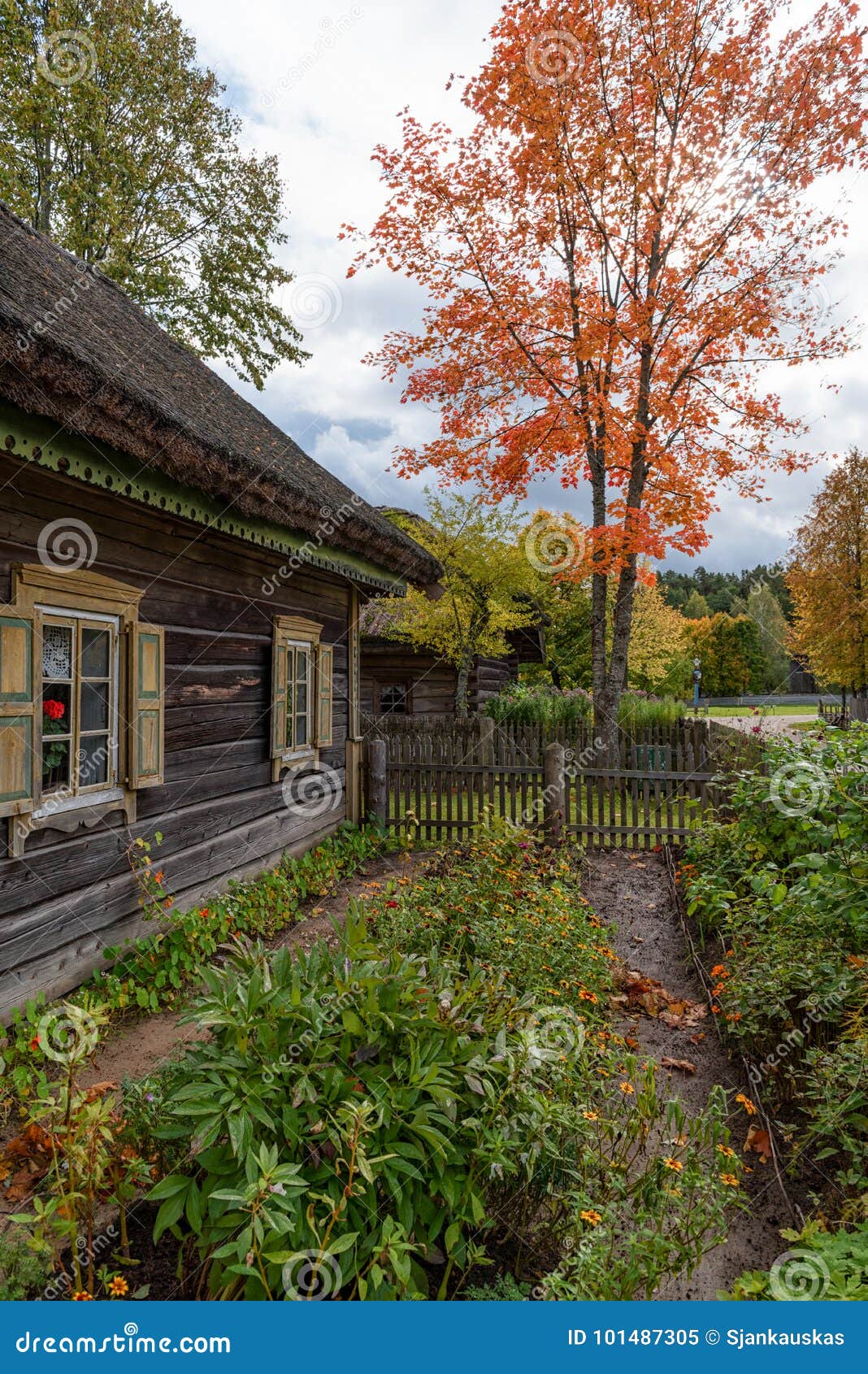 wooden house and garden autumn scene lithuania