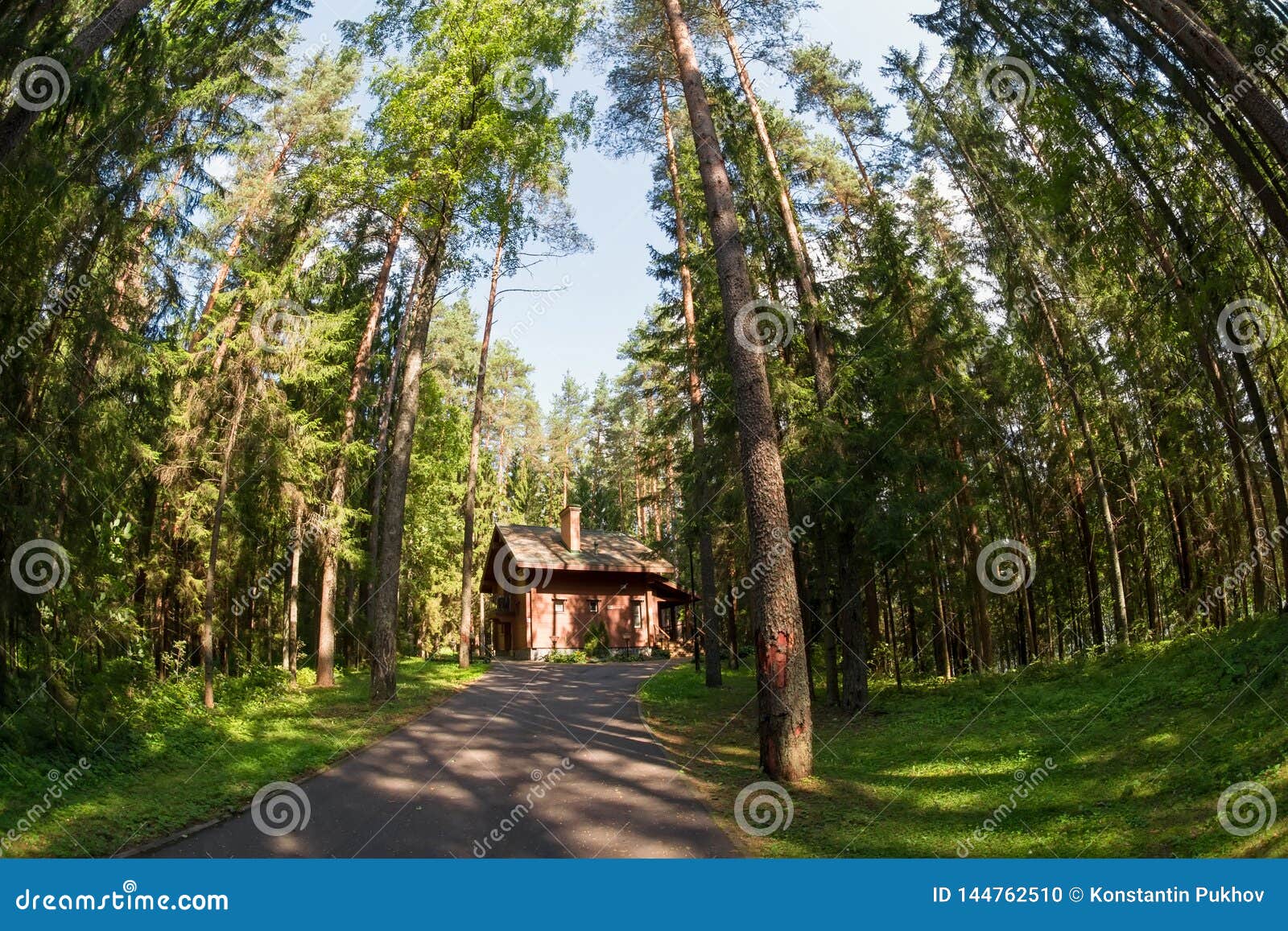 Wooden House in a Pine Forest Stock Photo Image of relaxation