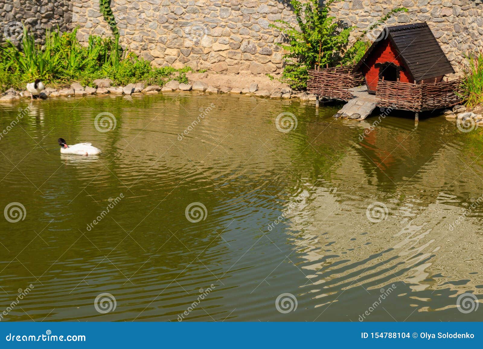 Wooden house for water birds and turtles on a lake in a city park