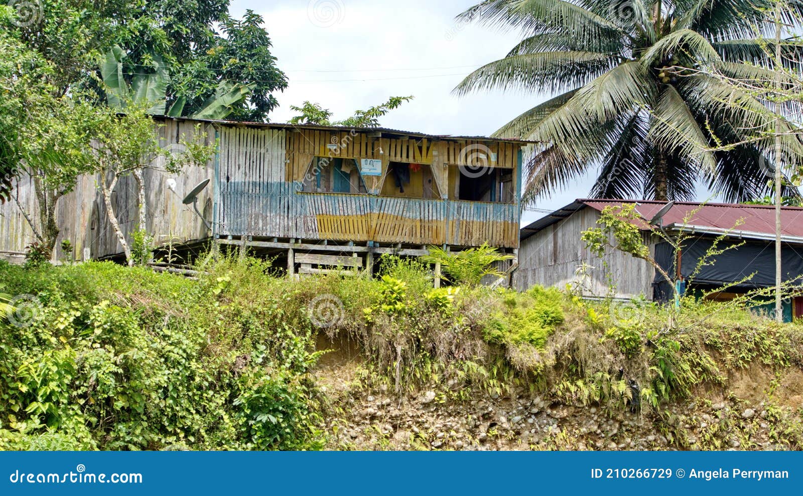 wooden houses in the jungle