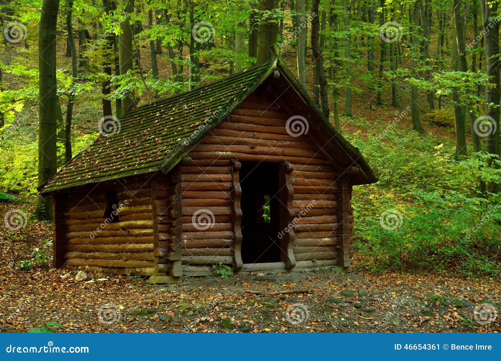 Wooden hut in the forest stock image. Image of wood, mountains 46654361