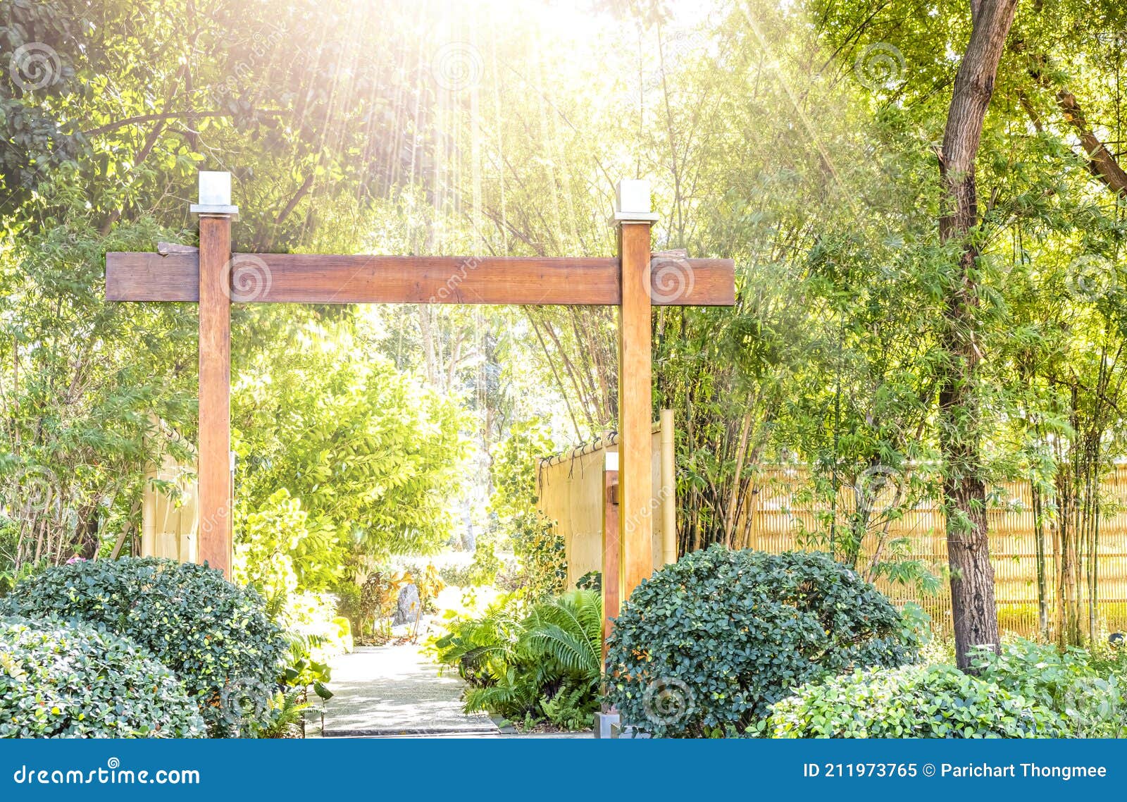 Wooden Japanese Gate Torii at Green Forest Stock Image Image of