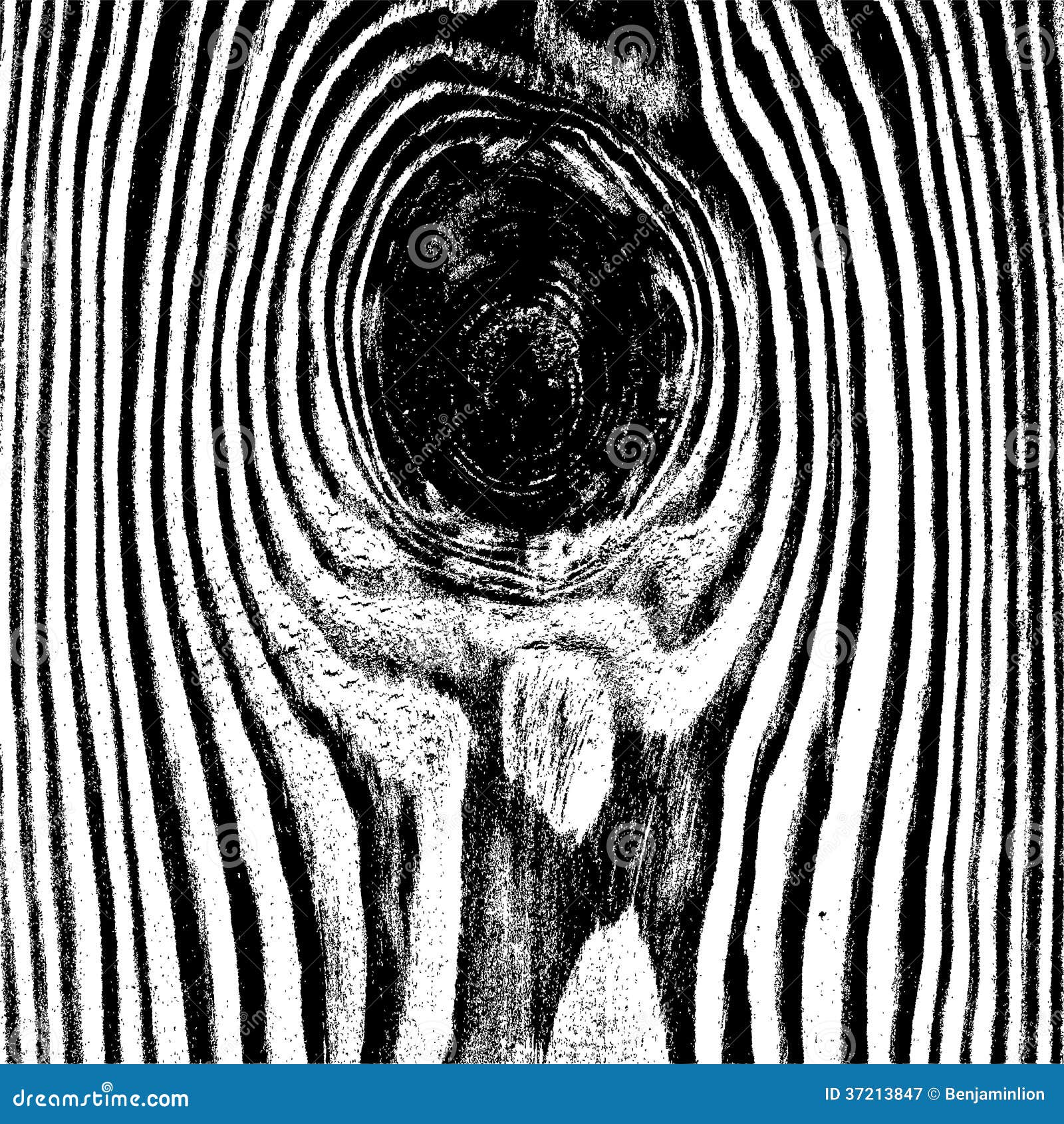 Wooden Knot Texture stock vector. Illustration of hardwood 37213847